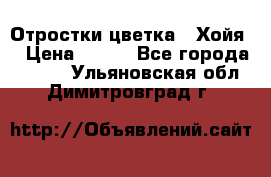 Отростки цветка  “Хойя“ › Цена ­ 300 - Все города  »    . Ульяновская обл.,Димитровград г.